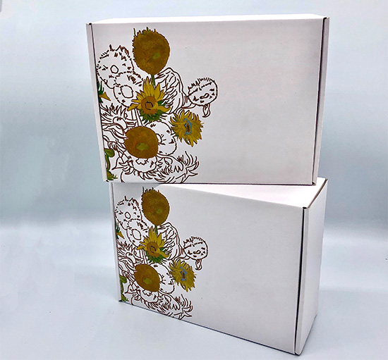 飛機盒彩箱定制批發(fā) 三層紙箱飛機盒生產(chǎn)廠家 飛機盒彩箱定制批發(fā) 三層紙箱飛機盒生產(chǎn)廠家